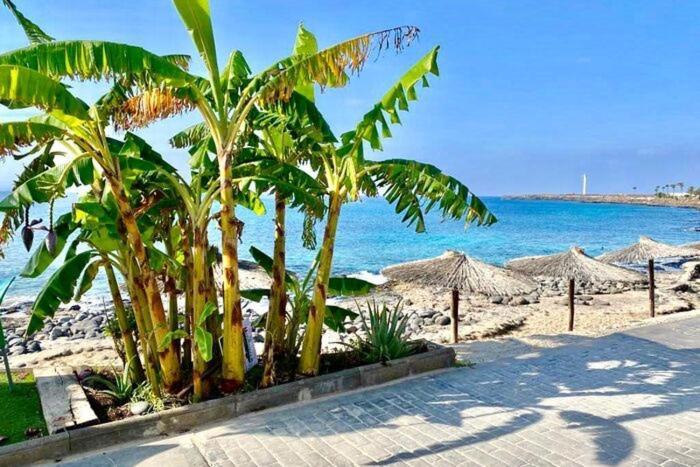 Casa Atilana Apartamento A 150 Metros De La Playa 普拉亚布兰卡 外观 照片